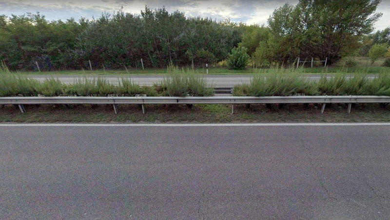 M5.jpg