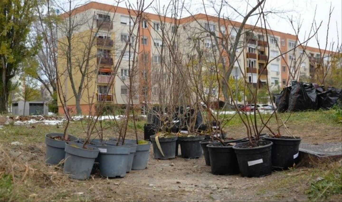 Miyawaki-minierdo-faultetes-12-709x420.jpg