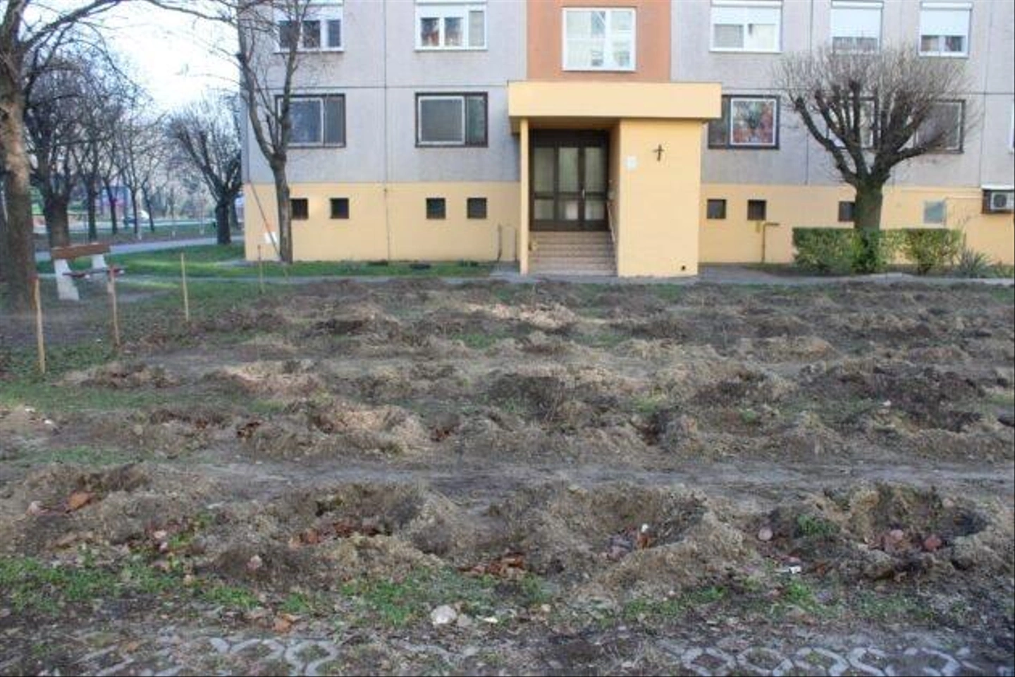 Pakozdi-csata-utca-kivagott-fak-10-630x420.jpg