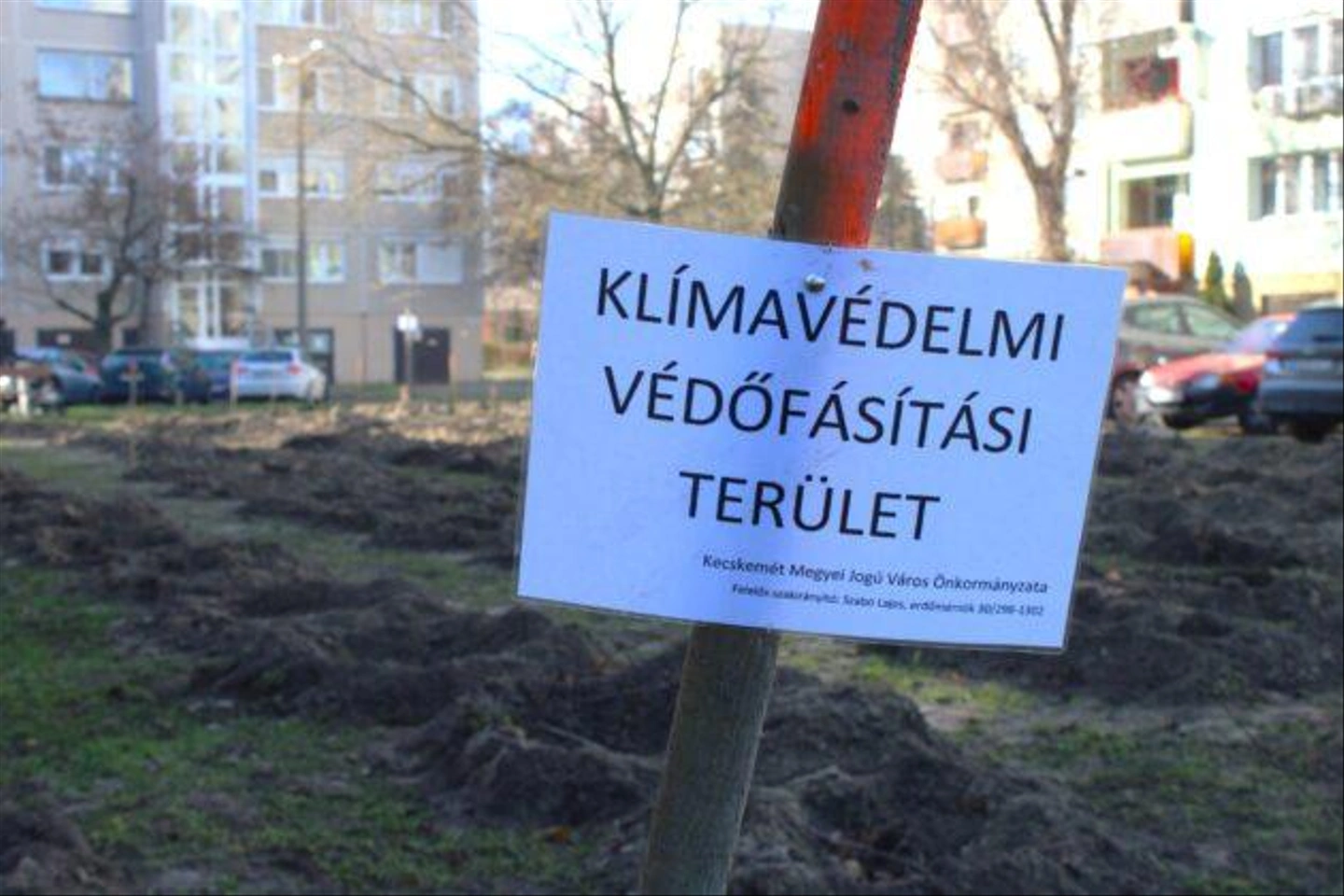 Pakozdi-csata-utca-kivagott-fak-8-630x420.jpg