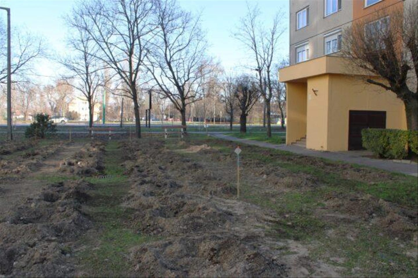 Pakozdi-csata-utca-kivagott-fak-3-630x420.jpg