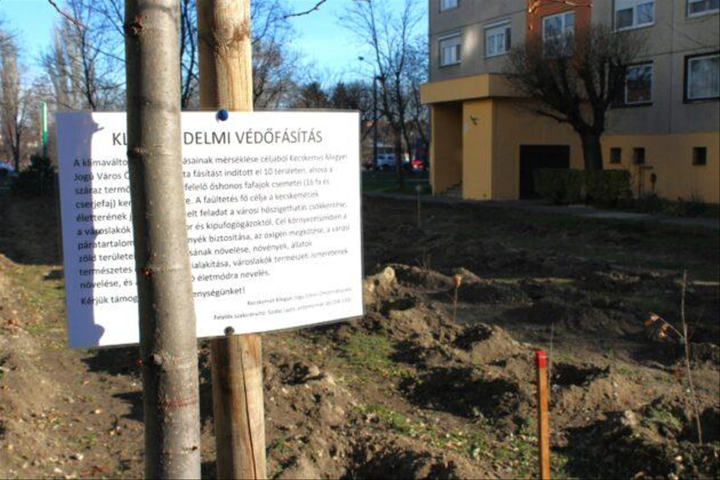 Pakozdi-csata-utca-kivagott-fak-1-630x420.jpg