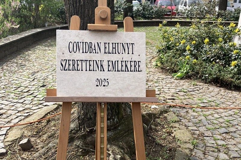 Fotó: Szol24