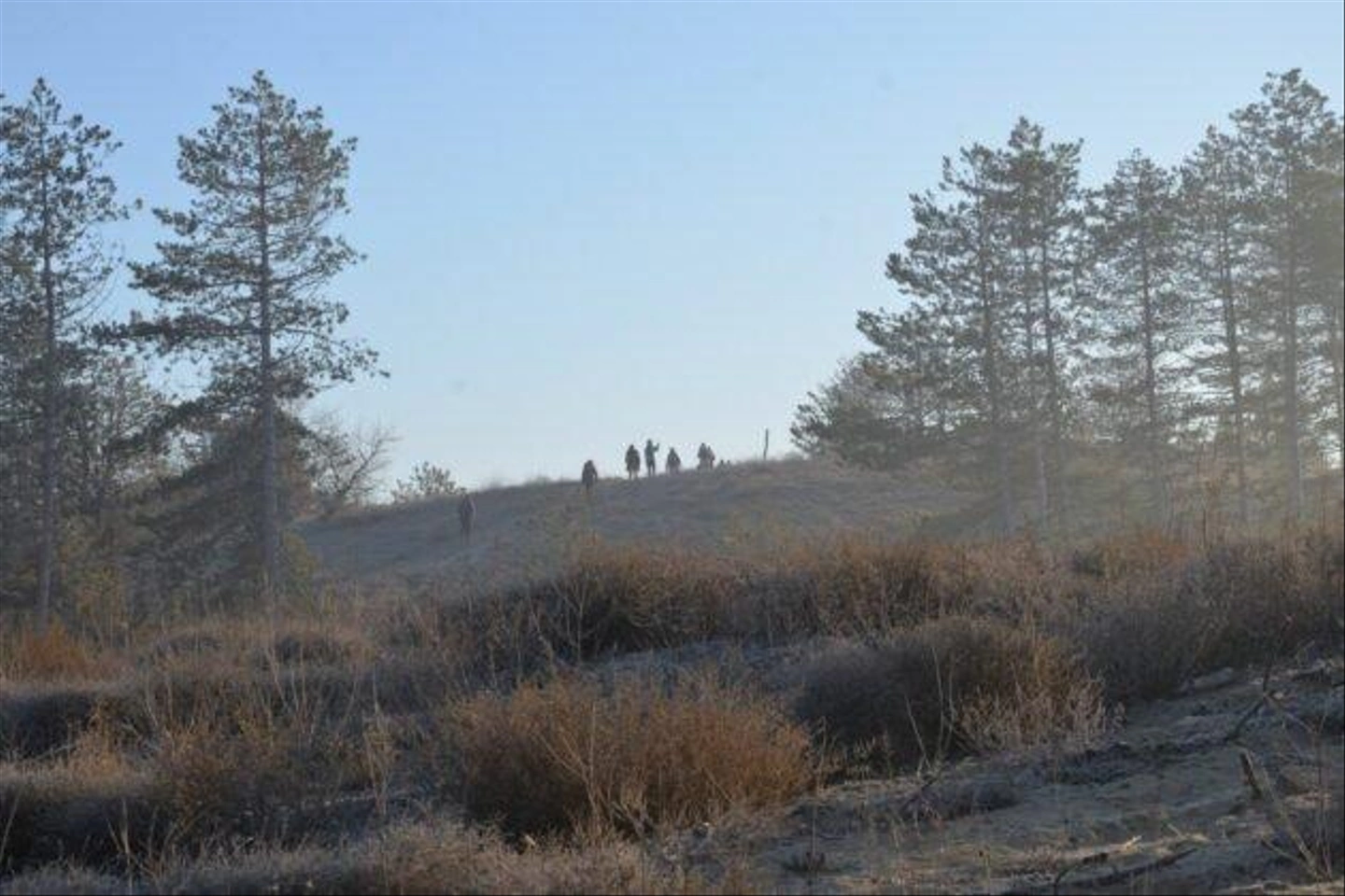 Teli-Strazsa-Tura-13-630x420.jpg