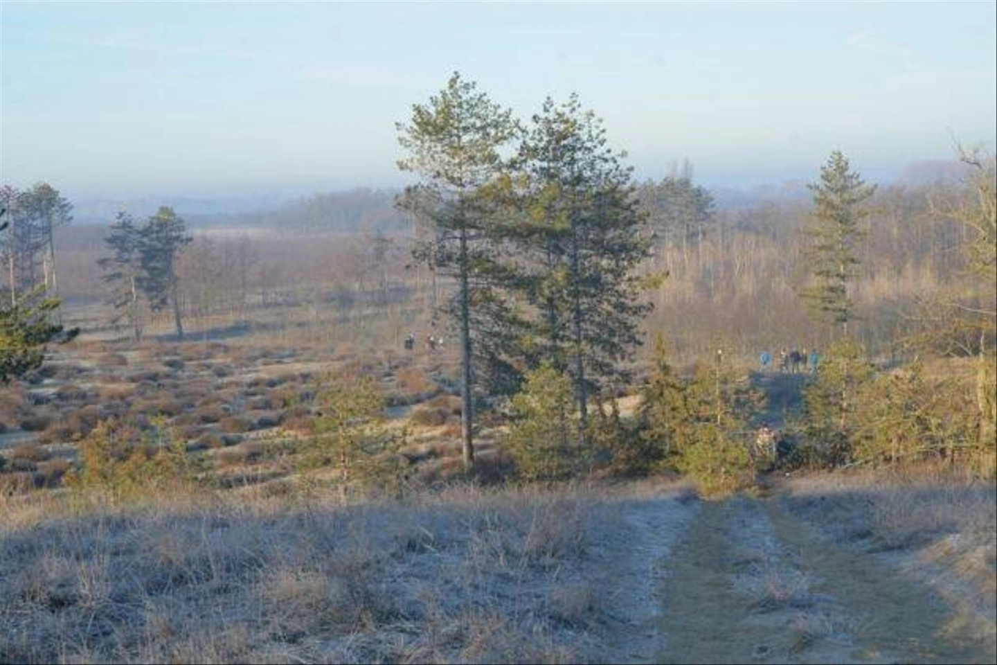 Teli-Strazsa-Tura-15-630x420.jpg