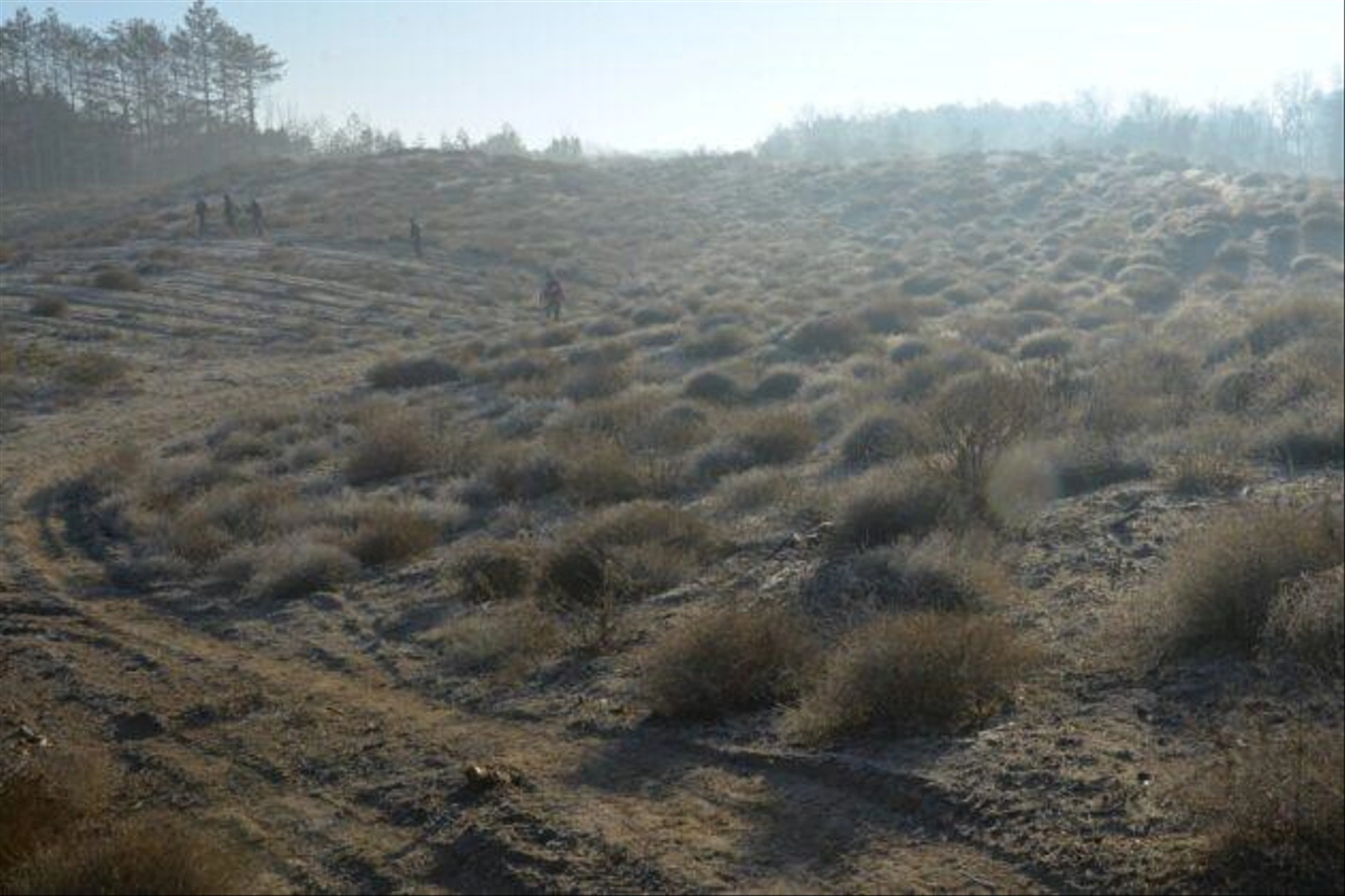 Teli-Strazsa-Tura-16-630x420.jpg