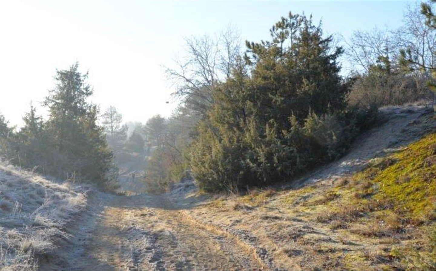 Teli-Strazsa-Tura-19-676x420.jpg