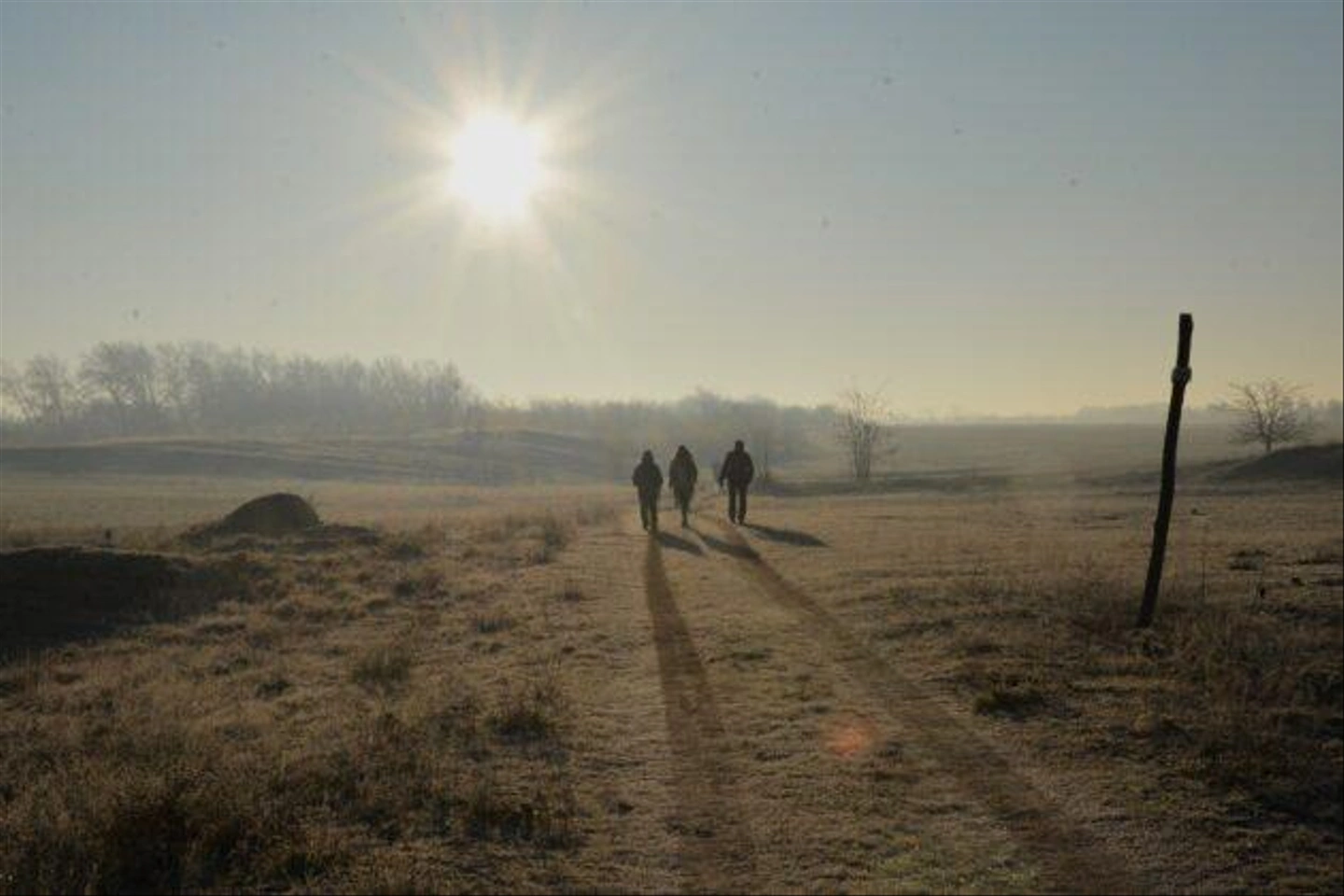 Teli-Strazsa-Tura-2-630x420.jpg