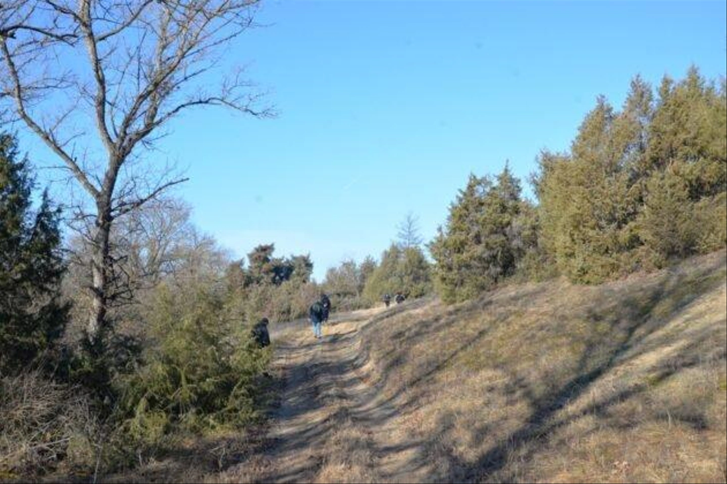 Teli-Strazsa-Tura-43-630x420.jpg