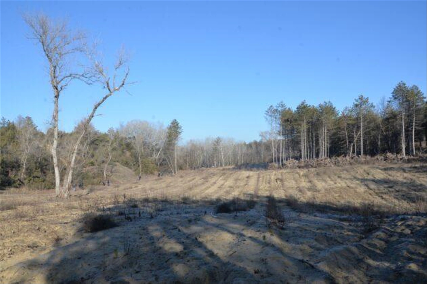 Teli-Strazsa-Tura-44-630x420.jpg