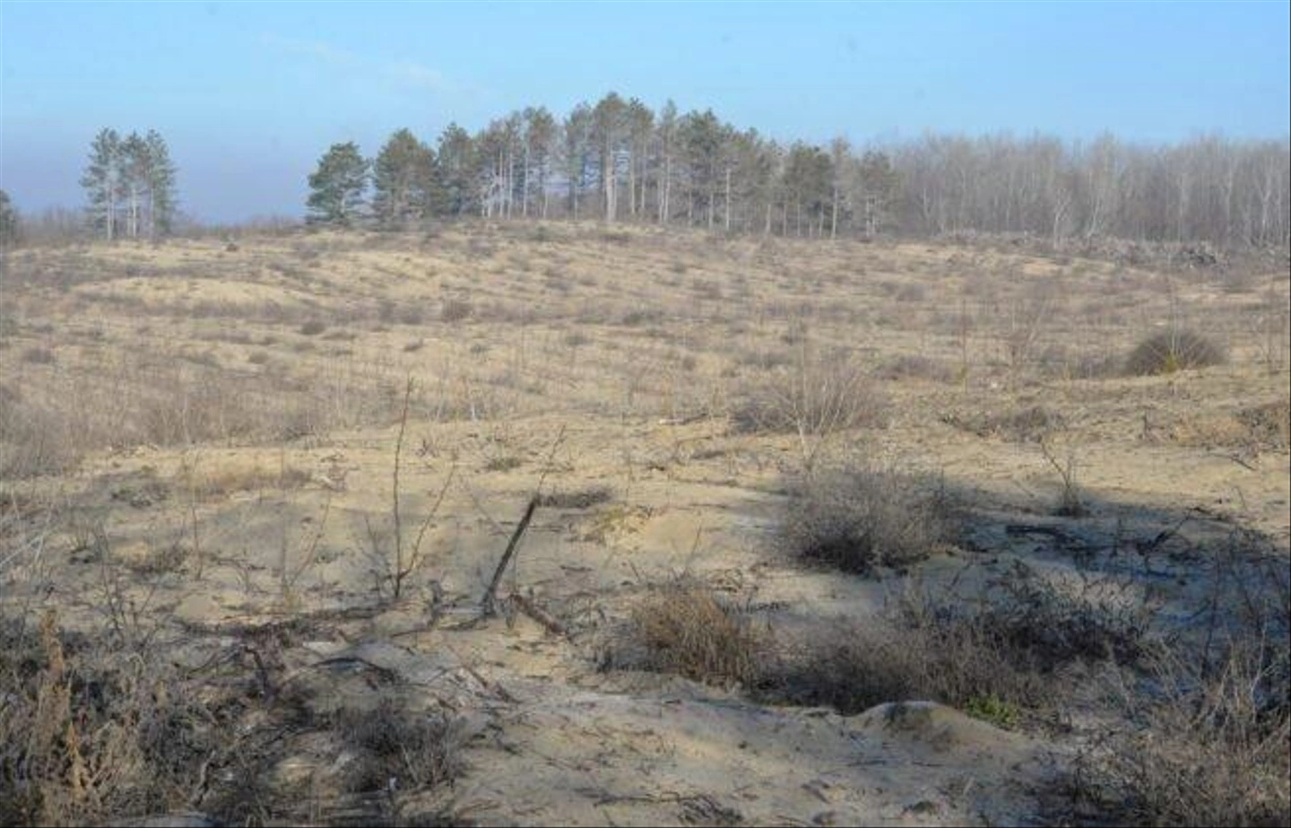 Teli-Strazsa-Tura-47-655x420.jpg
