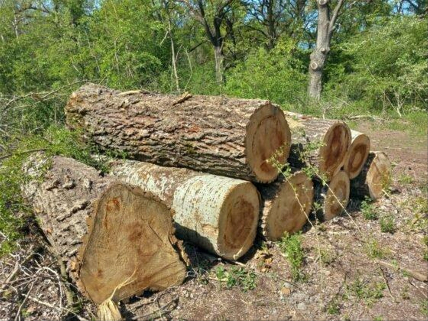 Vackor-Var-KEFAG-fakivagas-5-560x420.jpg
