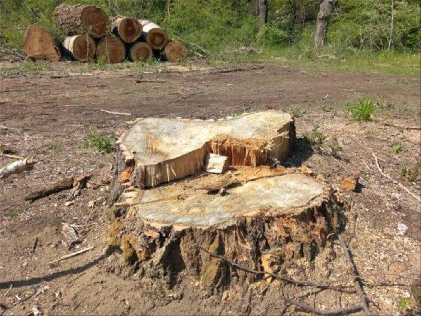 Vackor-Var-KEFAG-fakivagas-6-560x420.jpg