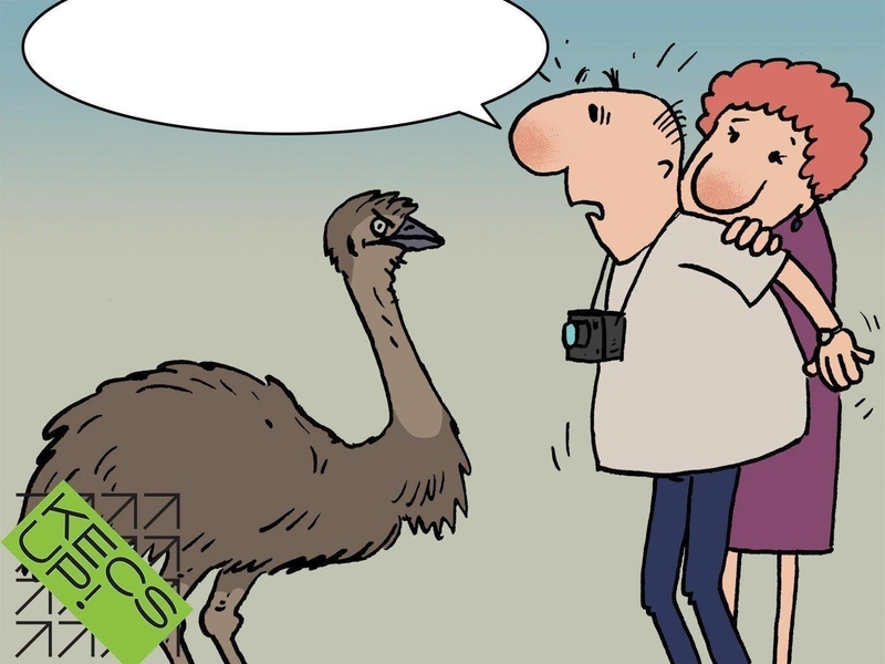 baja-emu-0.jpg
