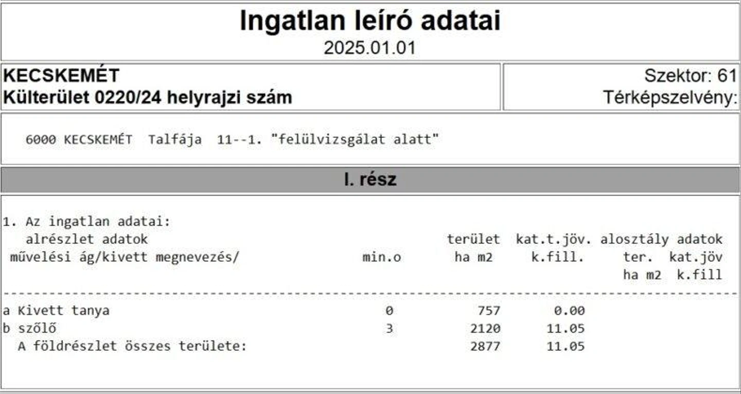 beruhazasi-celterulet-Kecskemet_2-790x420.jpg