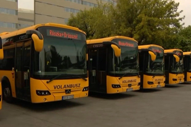 buszoztatas.jpg