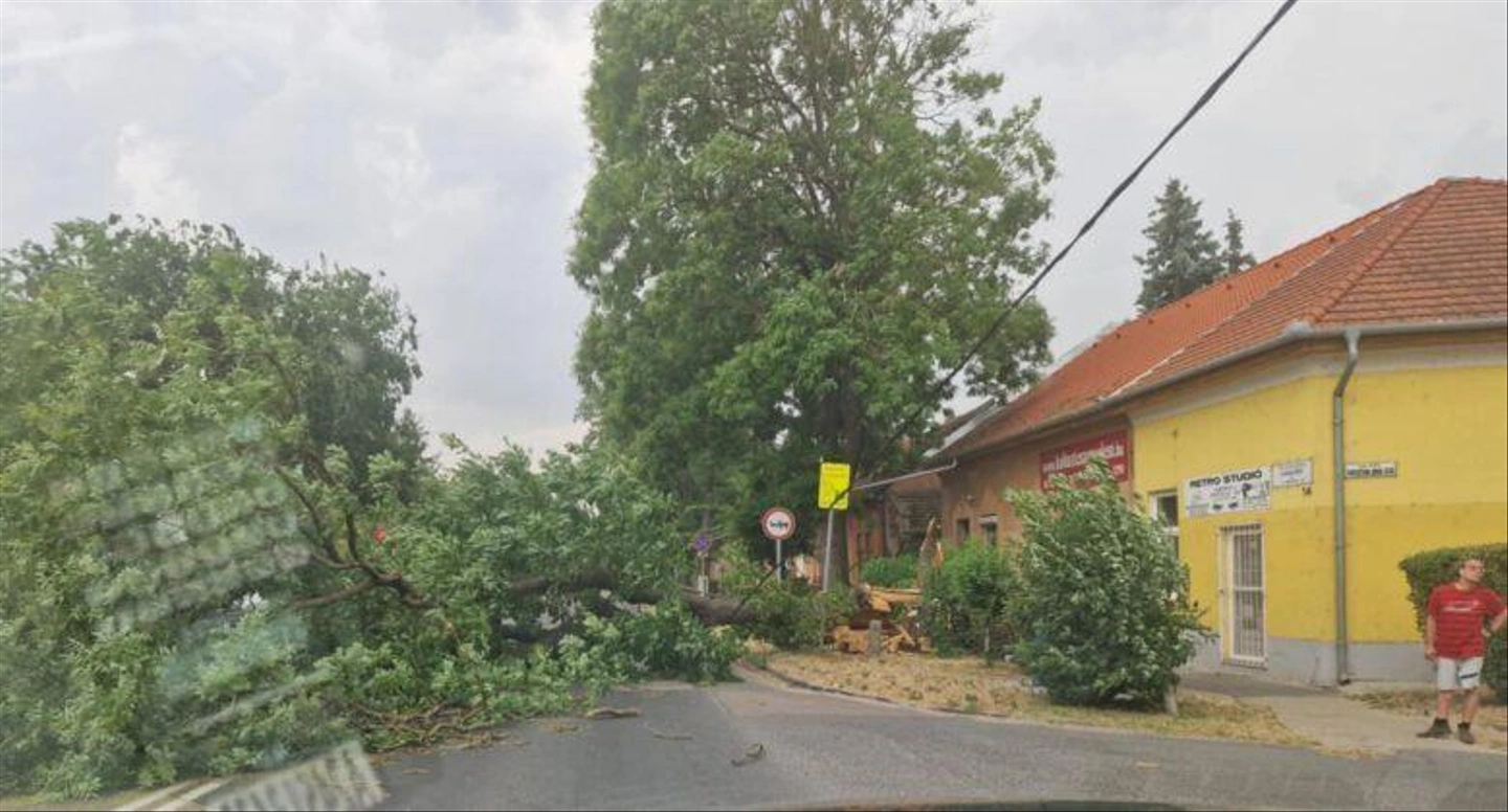 cegledi-779x420.jpg