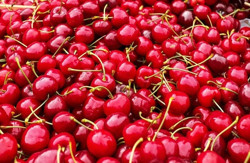 cherries-1465801_960_720.jpg