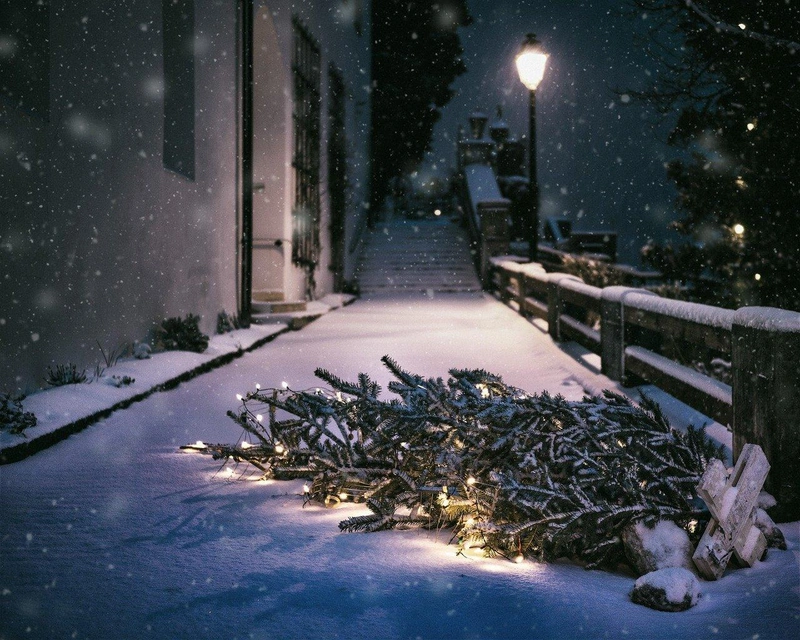 christmas-2059698_1280.jpg
