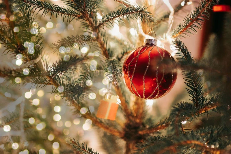 christmas-tree-7717938_1920.jpg