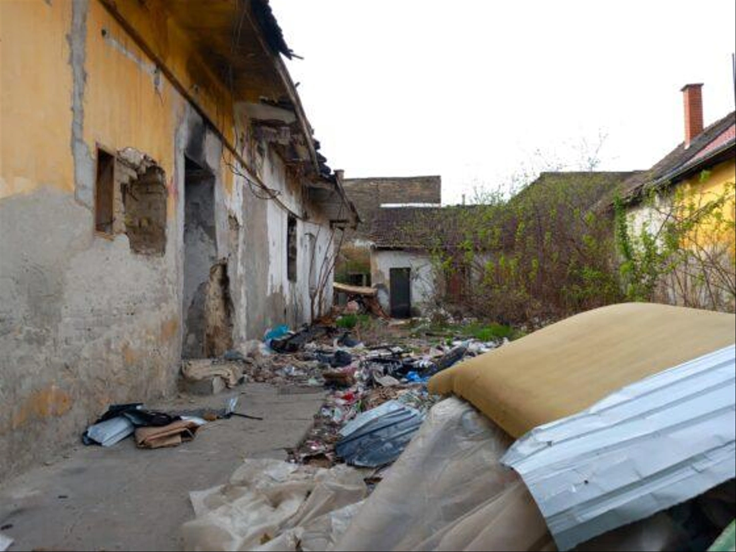 drogtanya-1-560x420.jpg