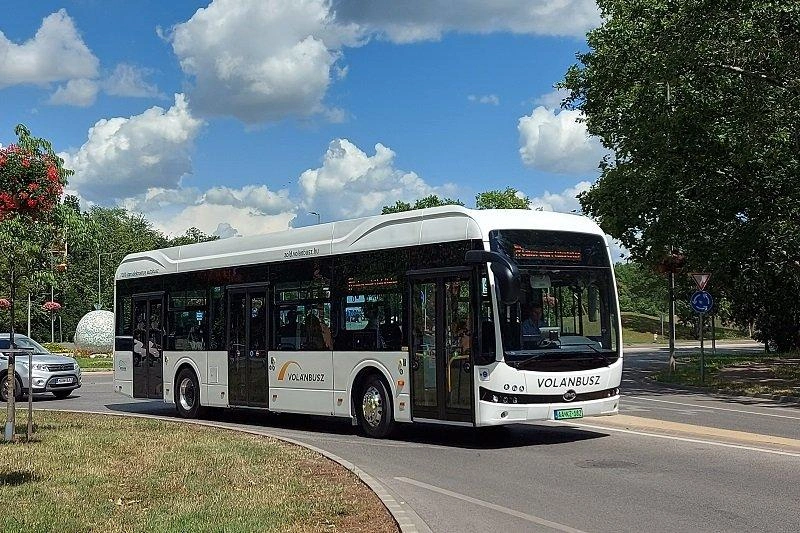 ebusz.jpg