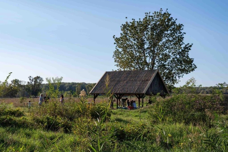 Civilek a kecskeméti Erdőparkban / Fotó: Szabolcs Kovács Photography