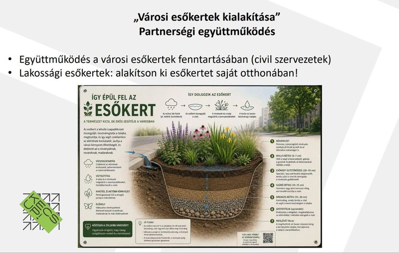 Esőkert