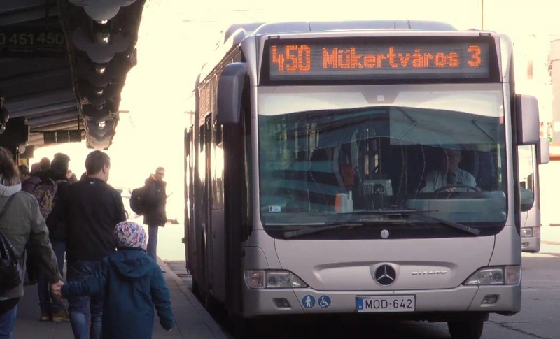 gf4321.jpg