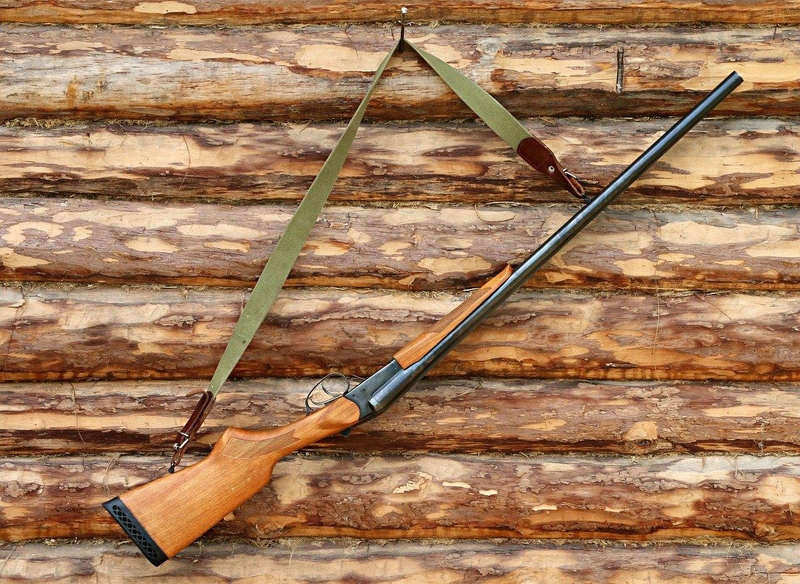 gun-1503130_1280.jpg