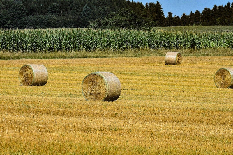 hay-bales-4501943_1280.jpg