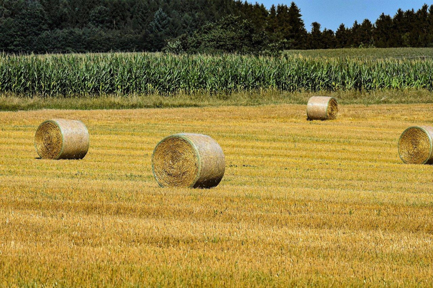 hay-bales-4501943_1280.jpg