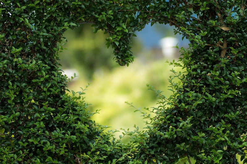 heart-gc7d99986b_1920.jpg