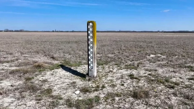 A kiszáradt Kondor-tó / Fotó: WWF Magyarország