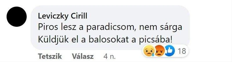 levipicsa.jpg