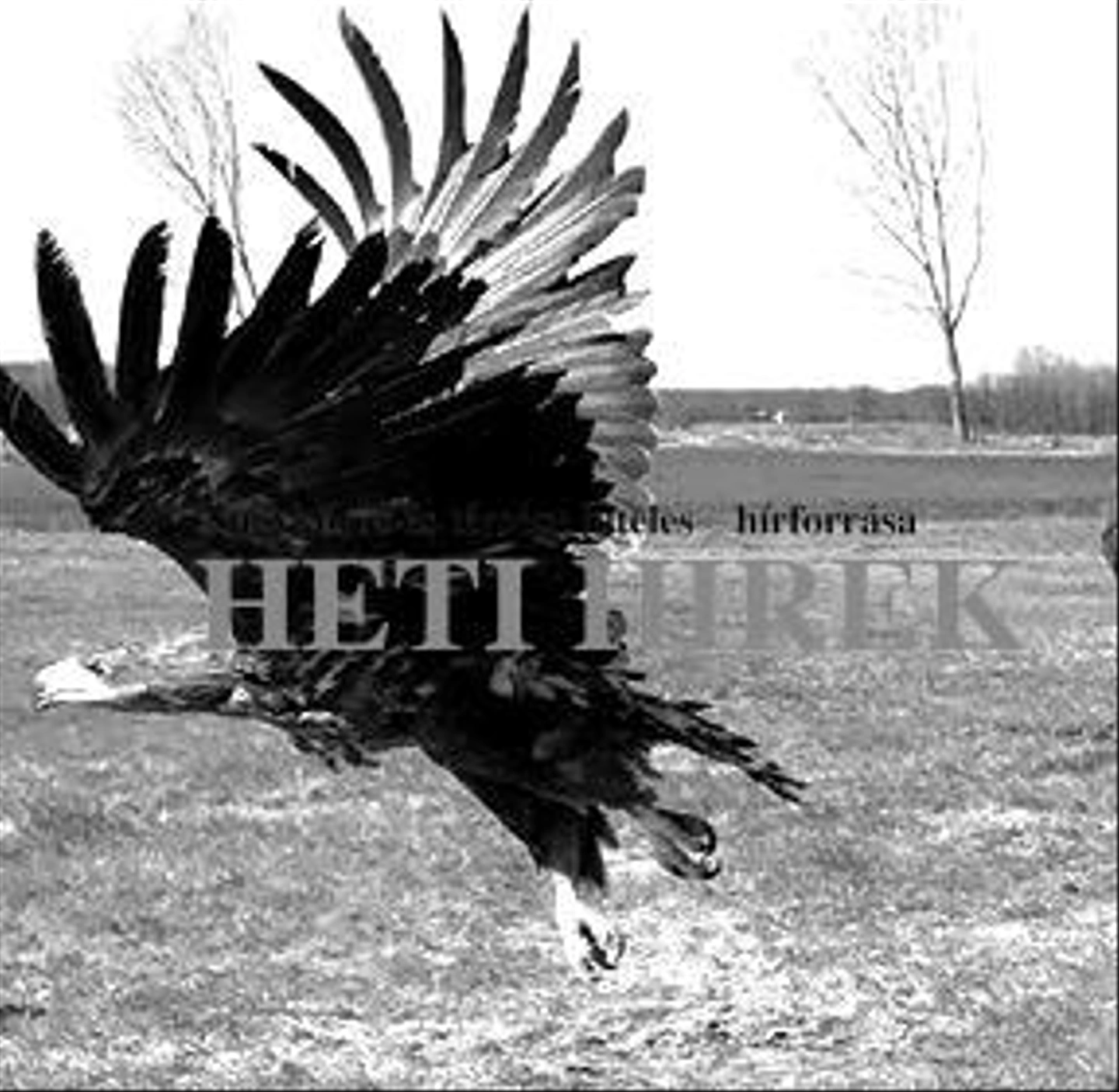 madarmentes-blackwhite.jpg