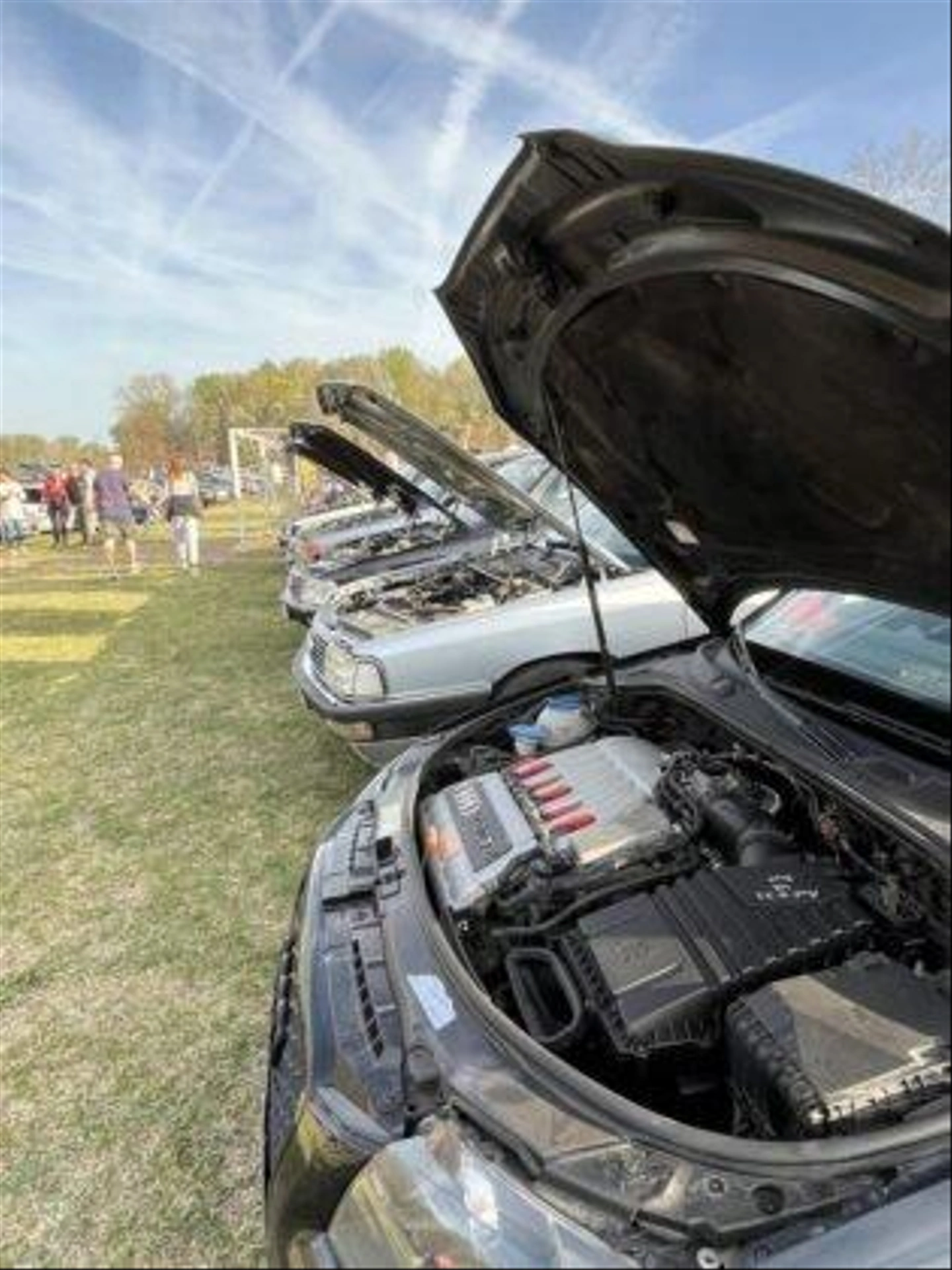 marfugautaltosben6_0-315x420.jpg