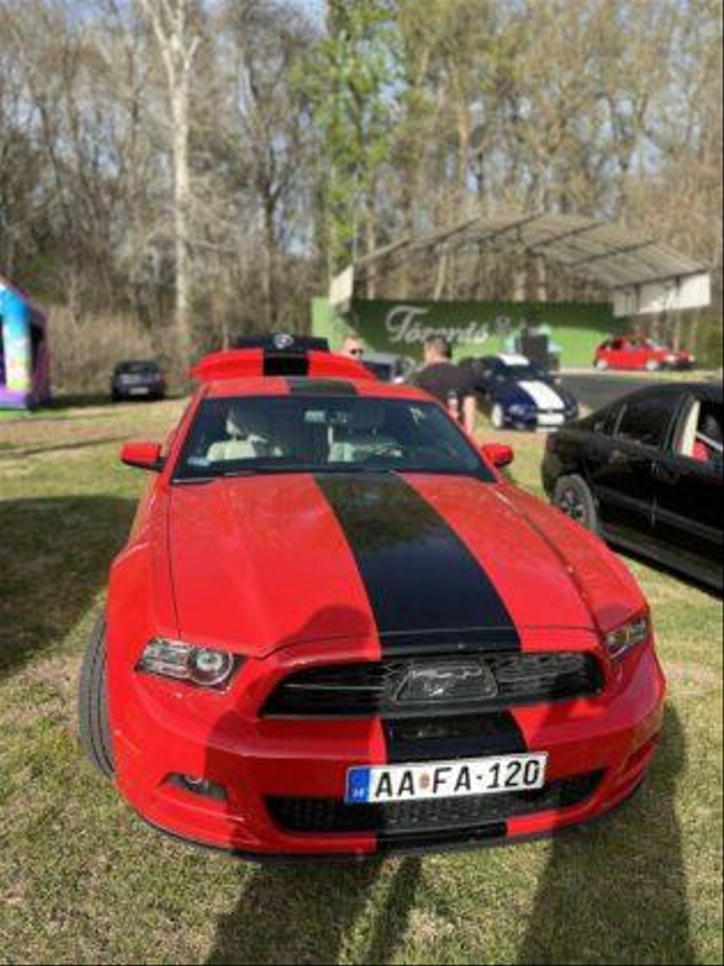 marfugautaltosben9_0-315x420.jpg