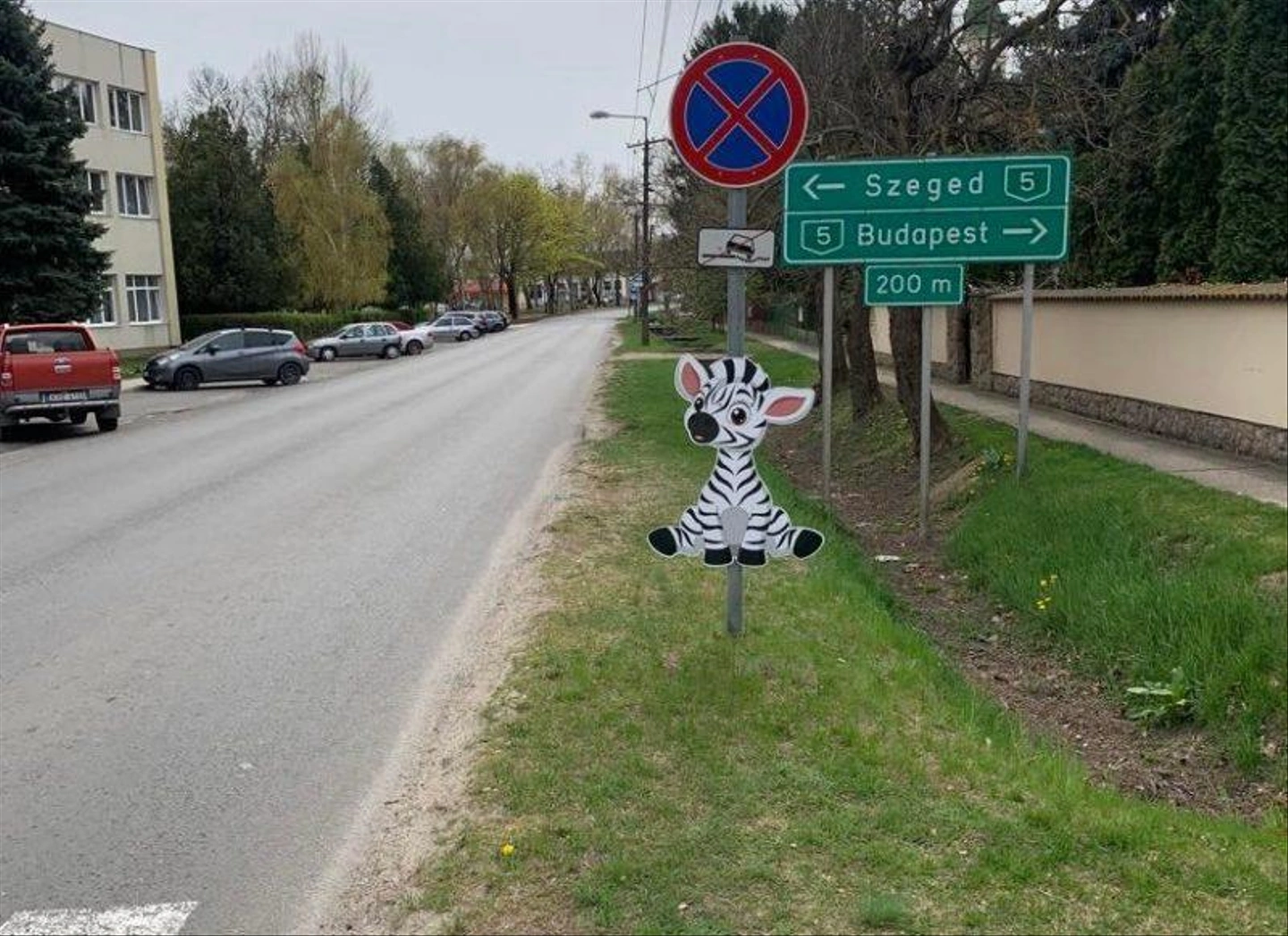 mesezebra.jpg