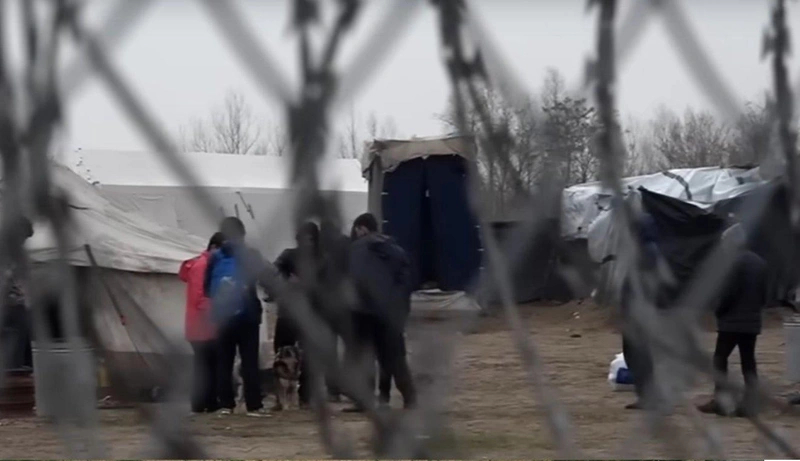 migracio.jpg