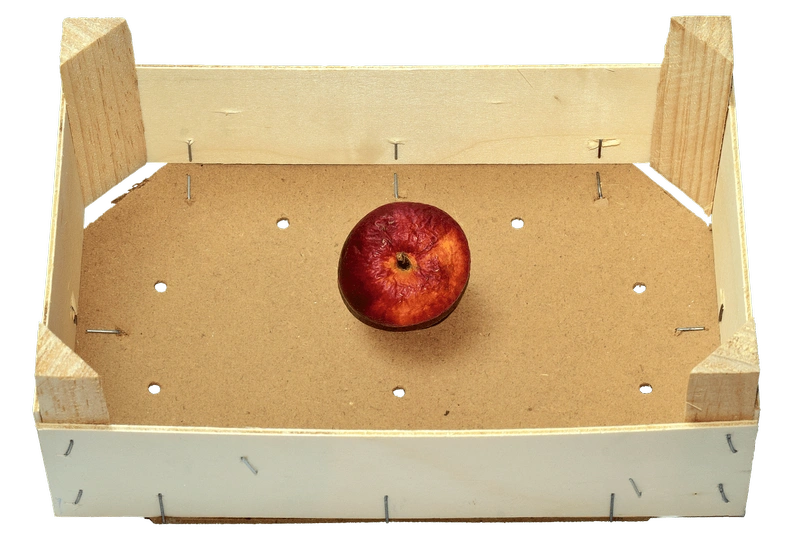 obstkiste-gaf2768394_1280.png