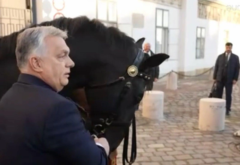 orban-lo.jpg