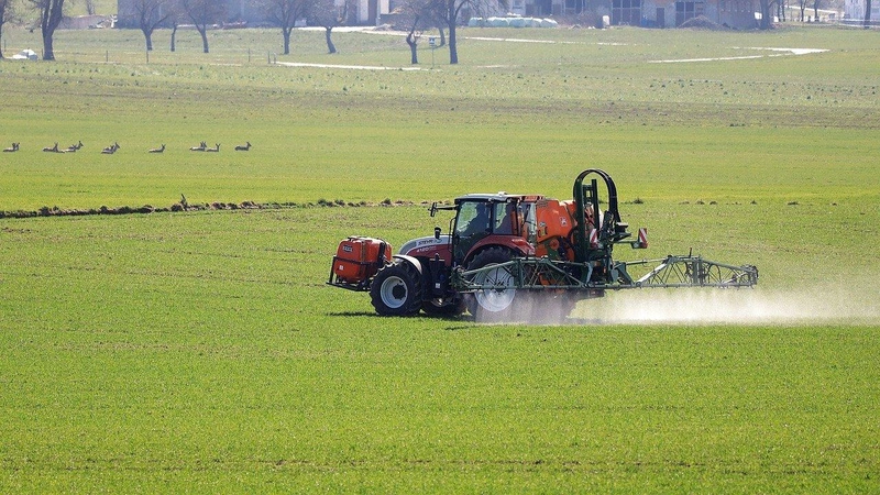 plant-protection-4974643_1280.jpg