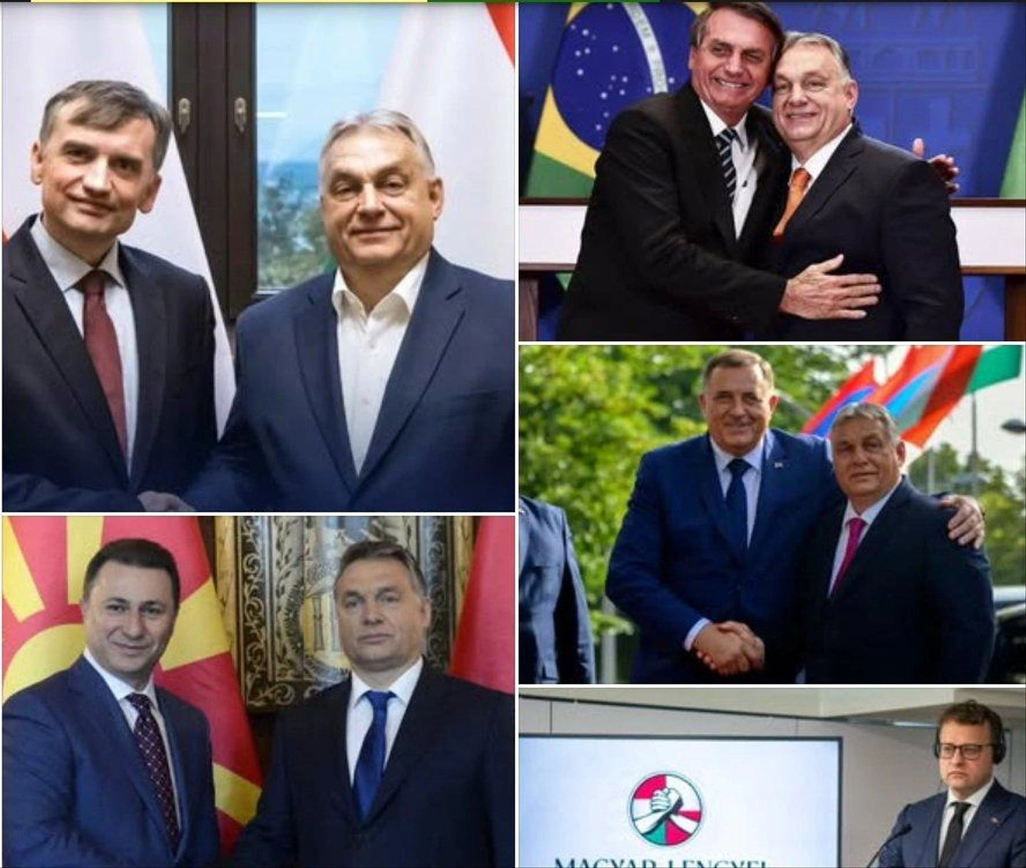 pol.jpg