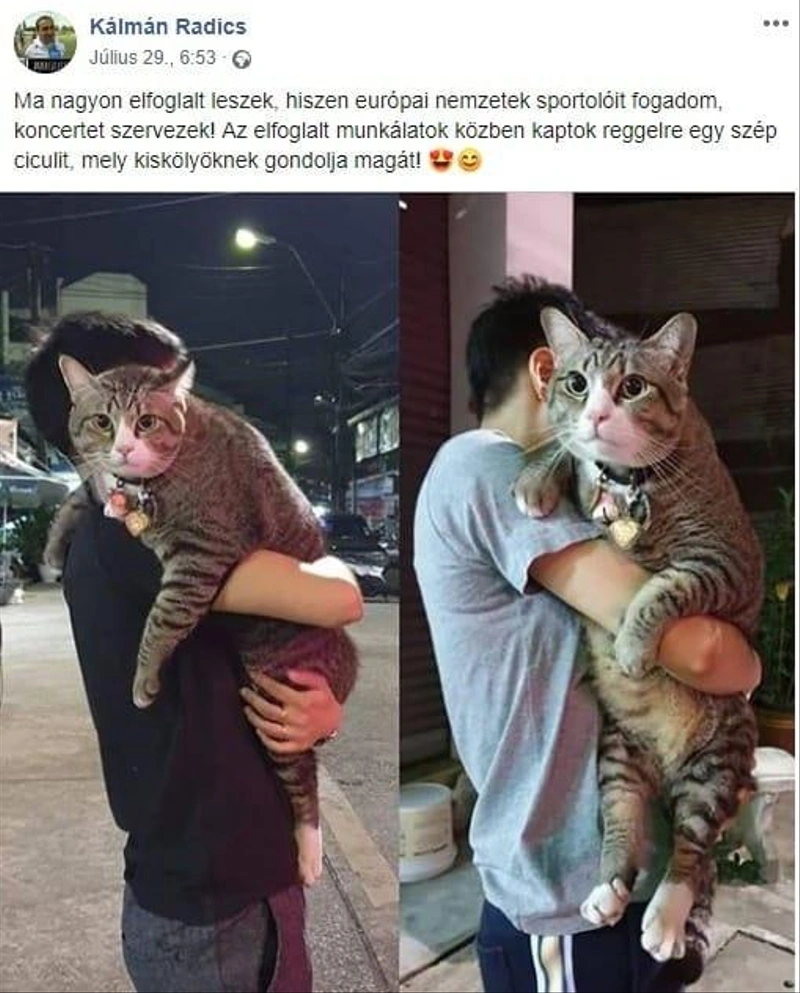 radicsmacska.jpg