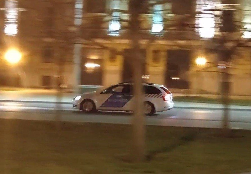 rendorauto.jpg