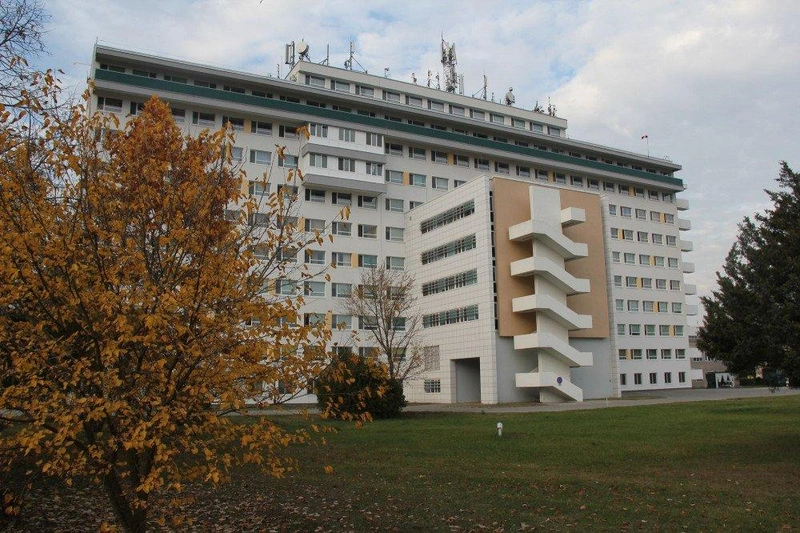 rt21.jpg