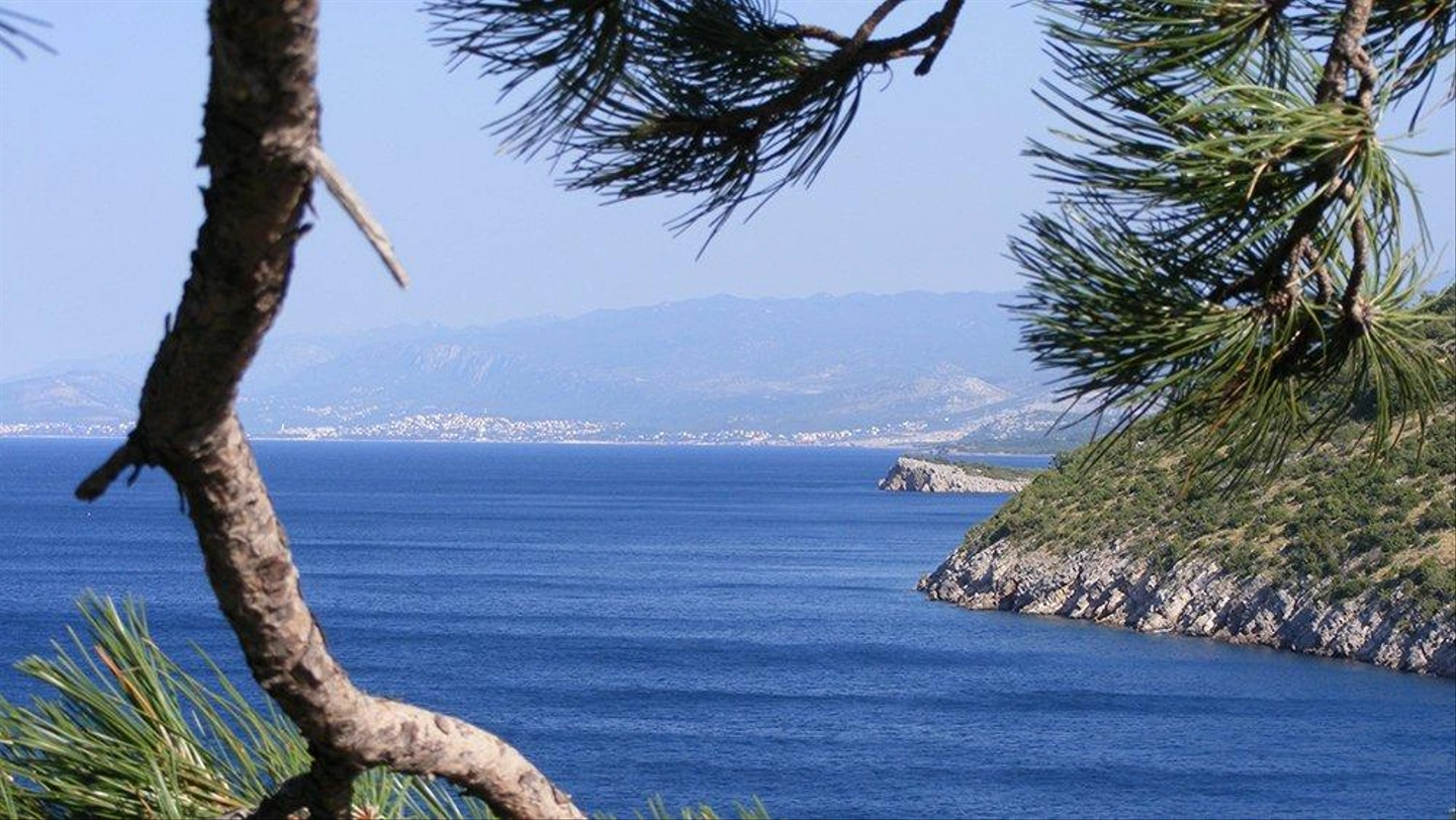 senj.jpg