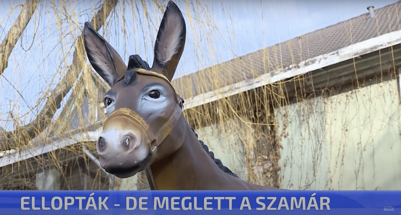 szamar-1920x1031.png