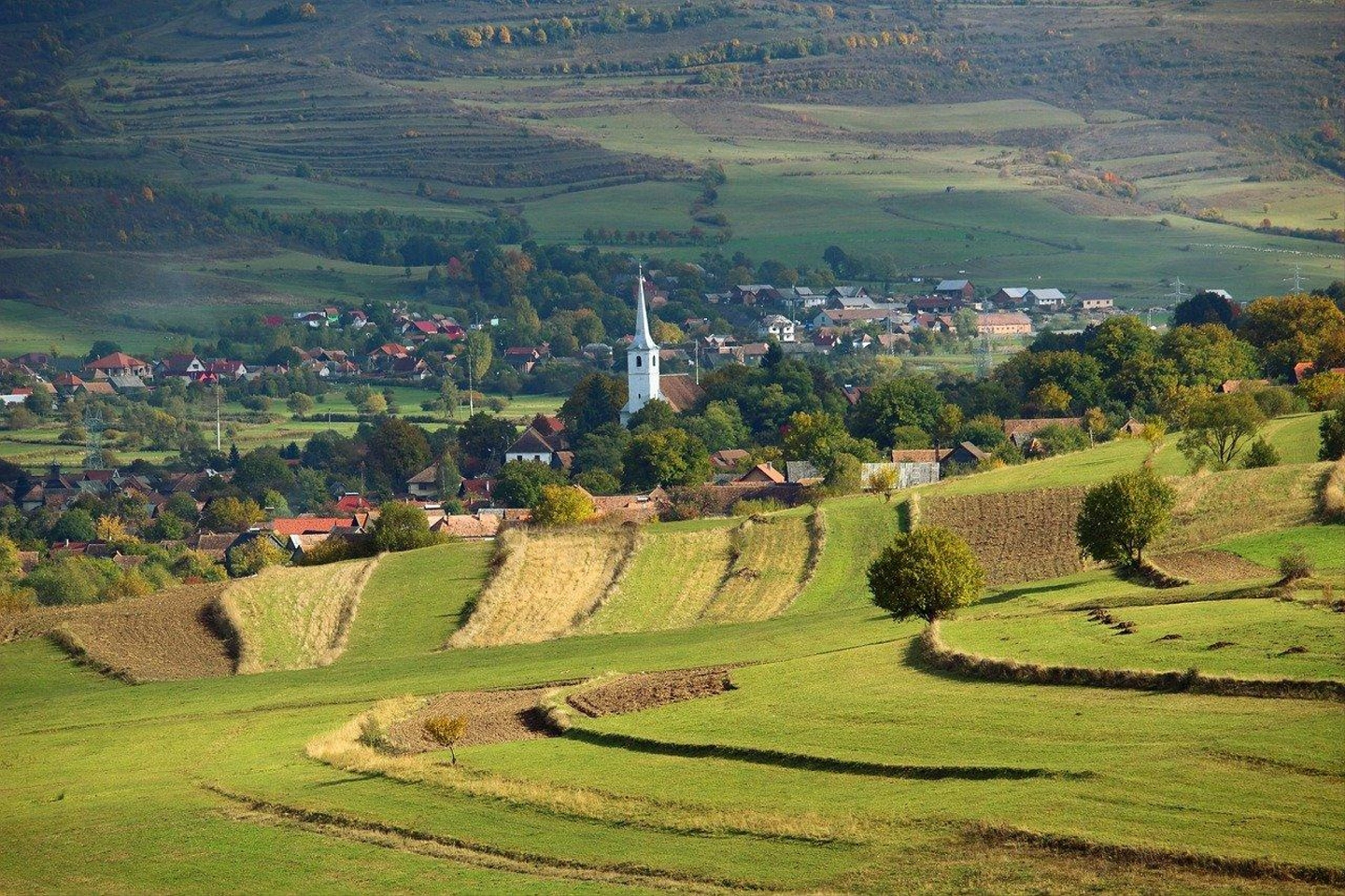 transylvania-3721384_1280.jpg